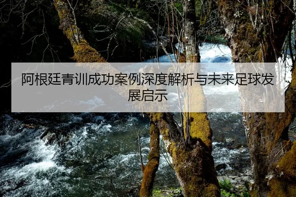 阿根廷青训成功案例深度解析与未来足球发展启示